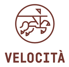 Velocita